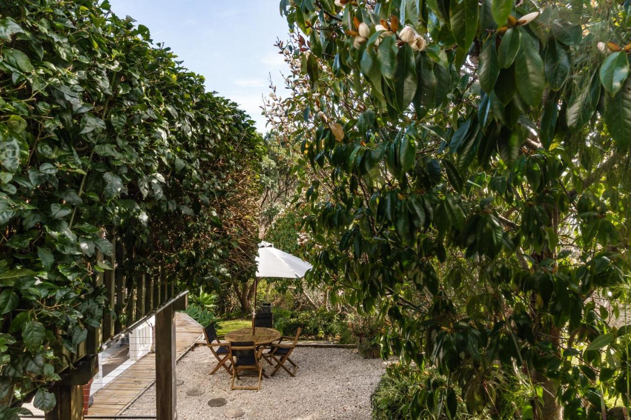 Kowhai Cottage & Studio 拉格伦 外观 照片